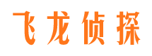 环翠侦探公司